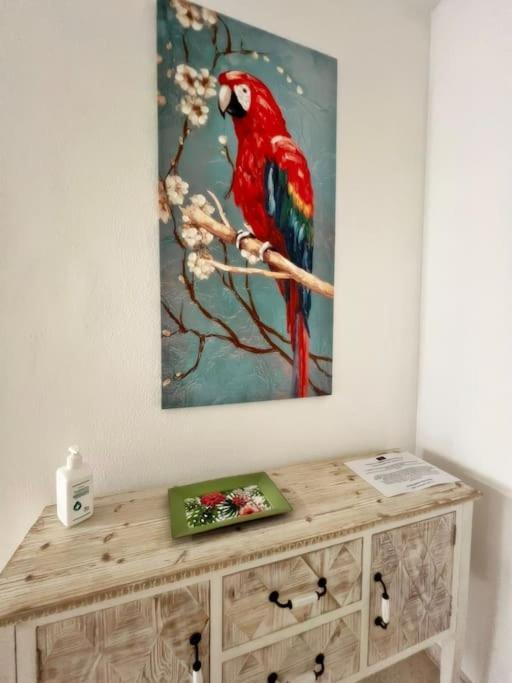 Magnifico Apartamento En El Centro De Fuengirola Zewnętrze zdjęcie